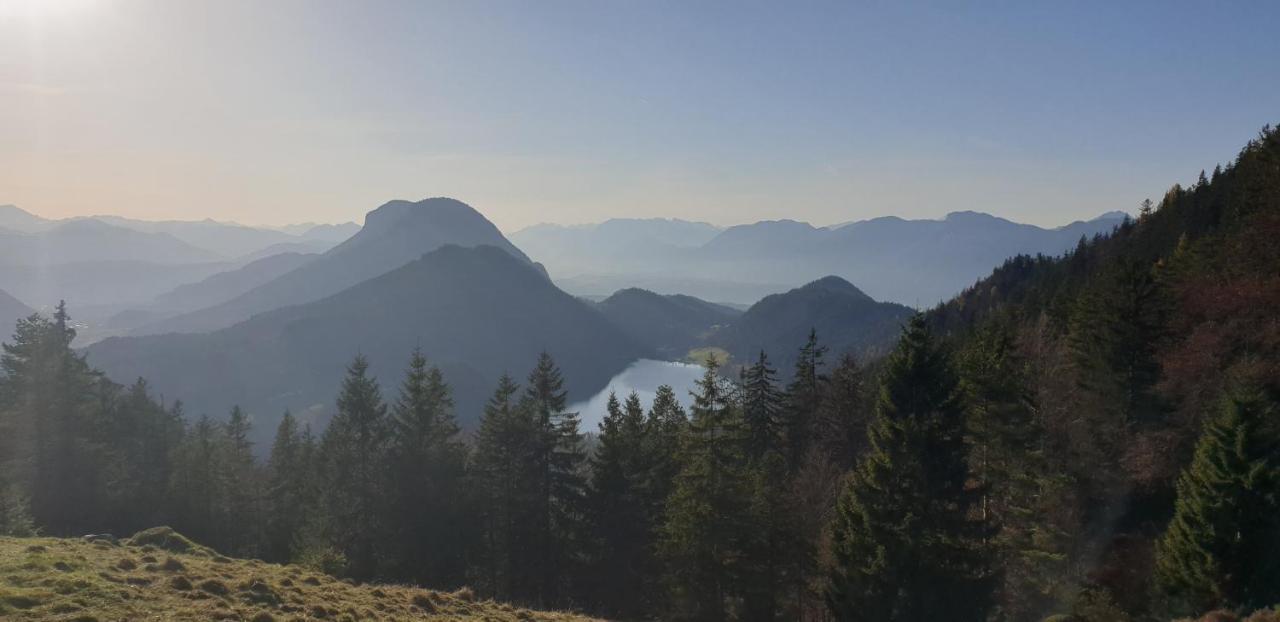 Ferienwohnung Sappl Scheffau am Wilden Kaiser Exterior foto